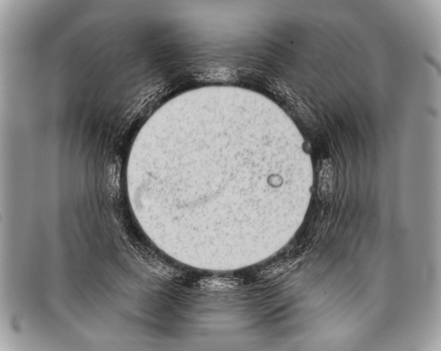 X0000097810739200804110950