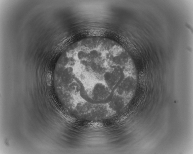 X0000097810741200804110950