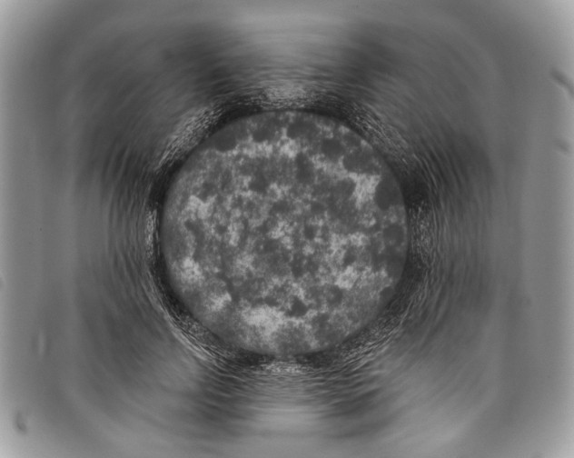 X0000097810742200804110950