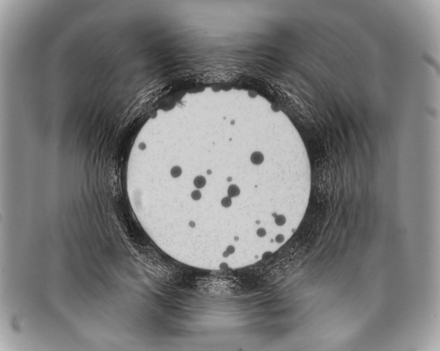 X0000097810743200804110950