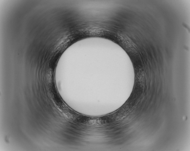 X0000097810744200804110950