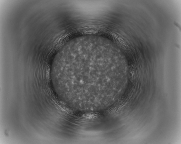 X0000097810745200804110950