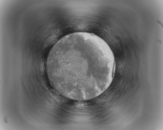 X0000097810746200804110950