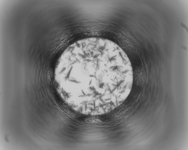 X0000097810747200804110950