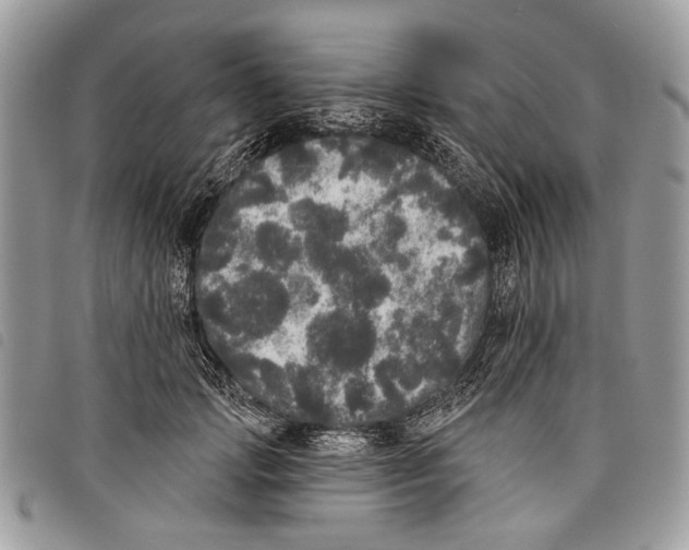 X0000097810749200804110950