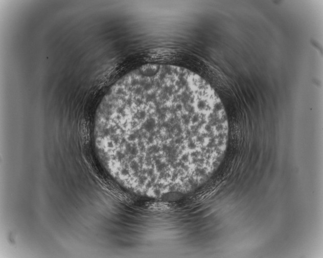 X0000097810751200804110950