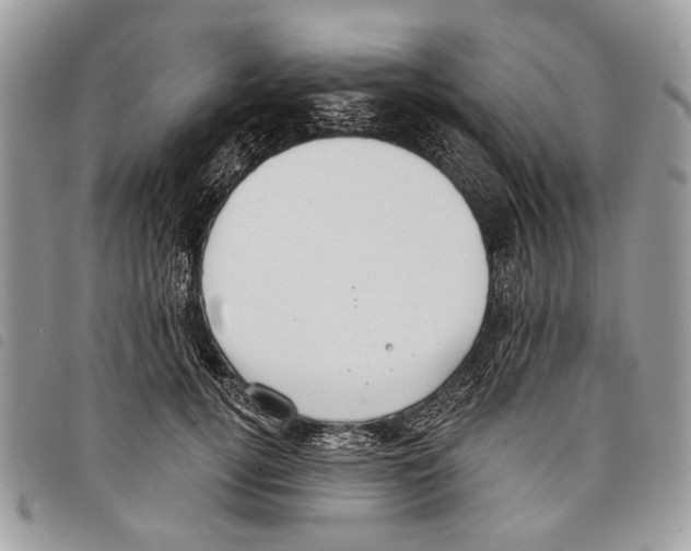 X0000097810752200804110950