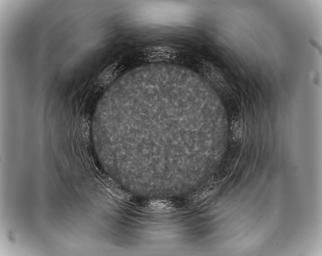 X0000097810753200804110950