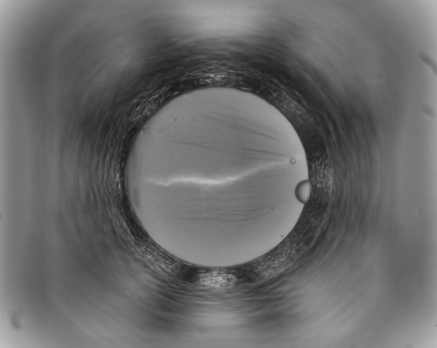 X0000097810754200804110950