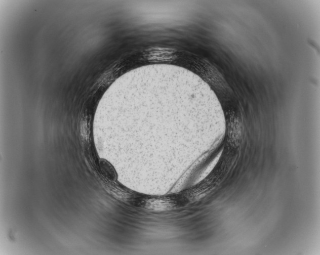 X0000097810755200804110950