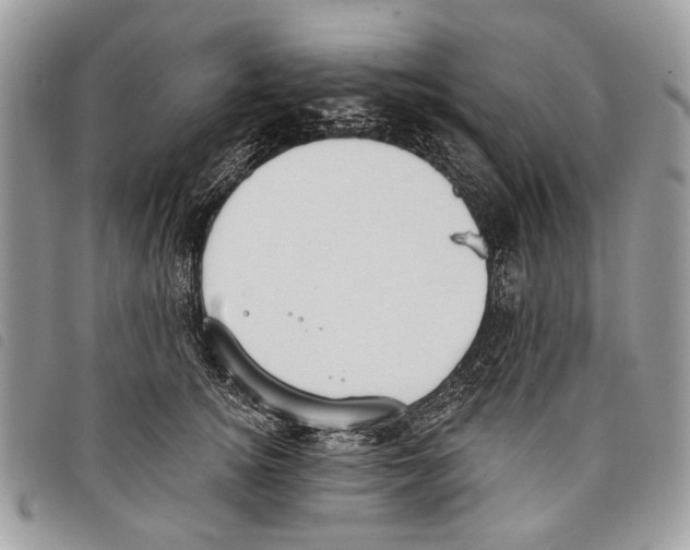 X0000097810756200804110950