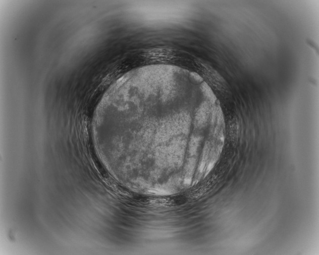 X0000097810757200804110950