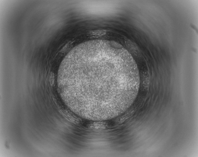 X0000097810758200804110950