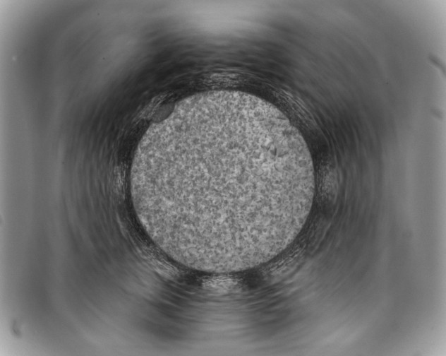 X0000097810759200804110950