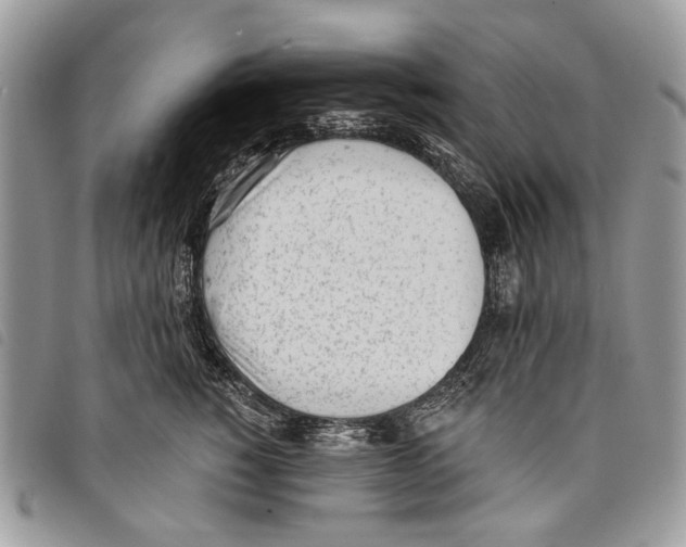 X0000097810760200804110950