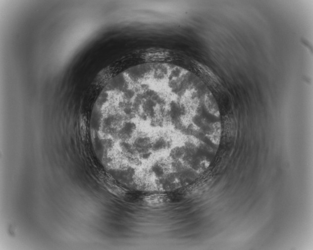 X0000097810761200804110950