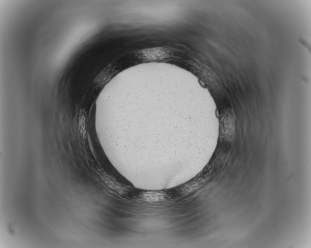 X0000097810762200804110950