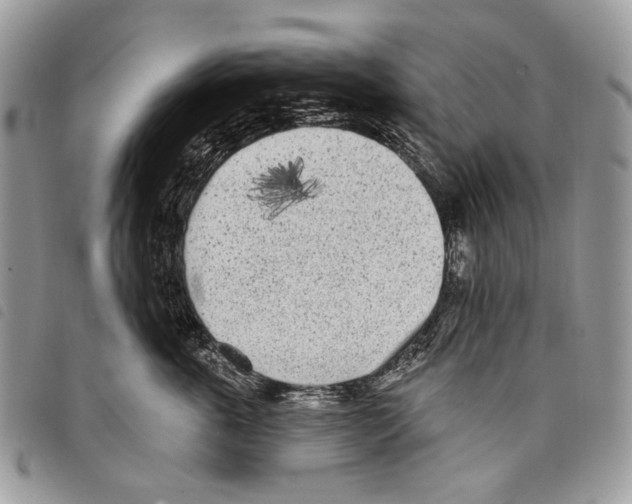 X0000097810763200804110950