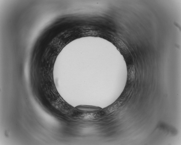 X0000097810764200804110950