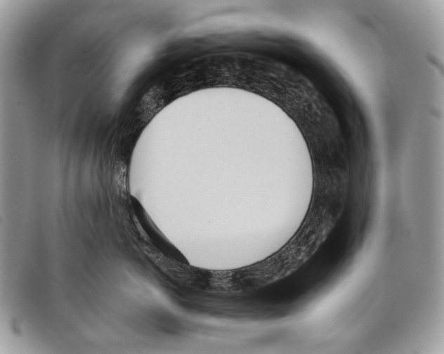 X0000097810766200804110951