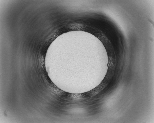 X0000097810767200804110951