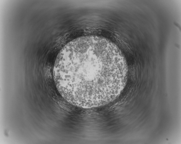 X0000097810770200804110950