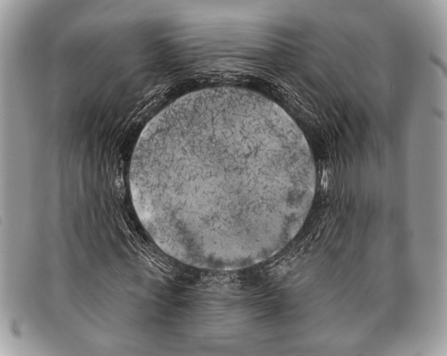 X0000097810771200804110950