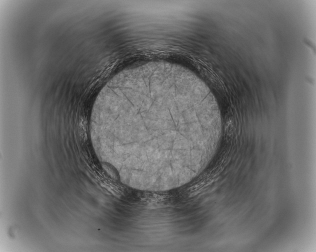 X0000097810772200804110950