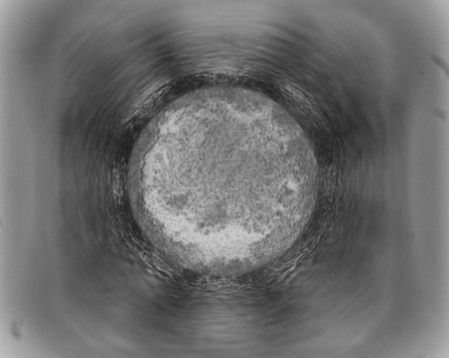 X0000097810774200804110950