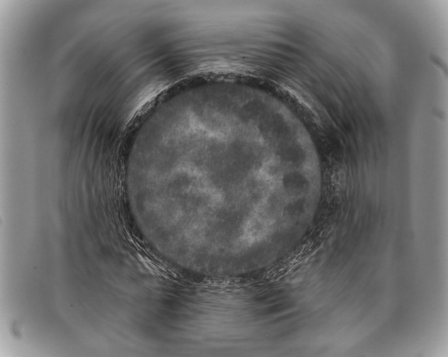 X0000097810775200804110950