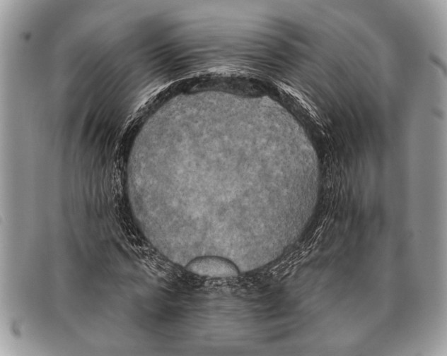 X0000097810776200804110950