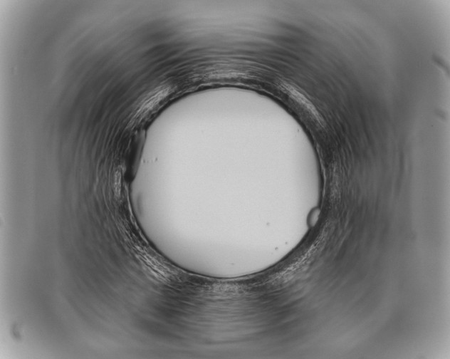 X0000097810777200804110950