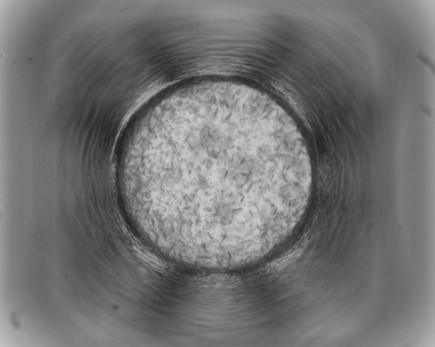 X0000097810779200804110950