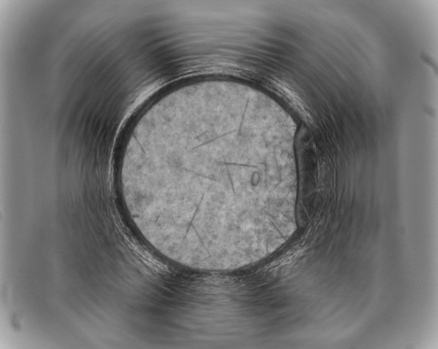 X0000097810780200804110950