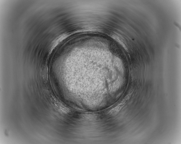 X0000097810781200804110950