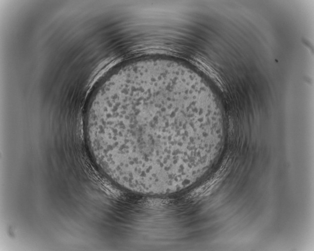 X0000097810782200804110949