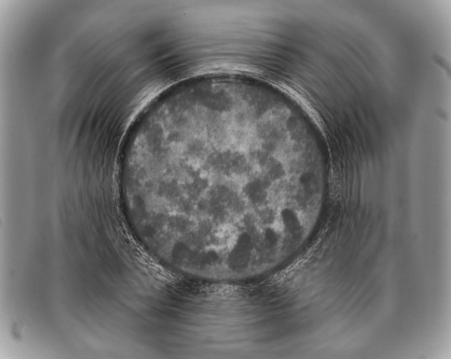 X0000097810783200804110949