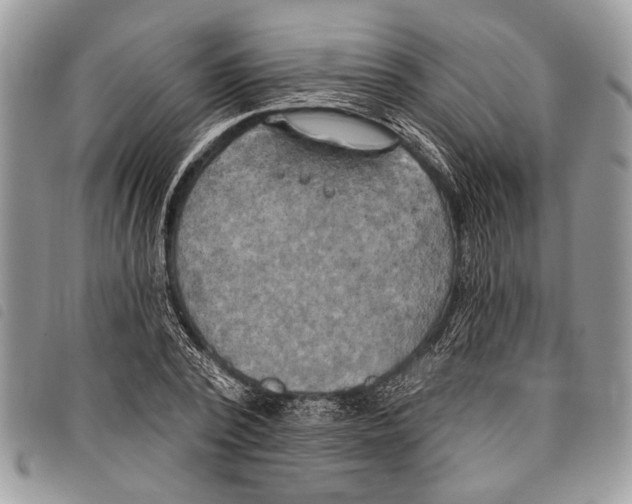 X0000097810784200804110949