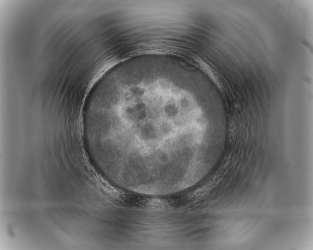 X0000097810787200804110949