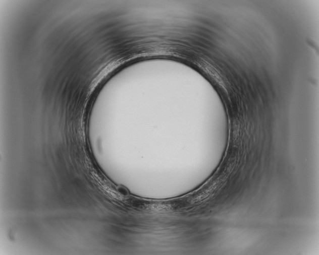 X0000097810789200804110949