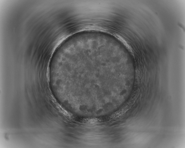 X0000097810791200804110949