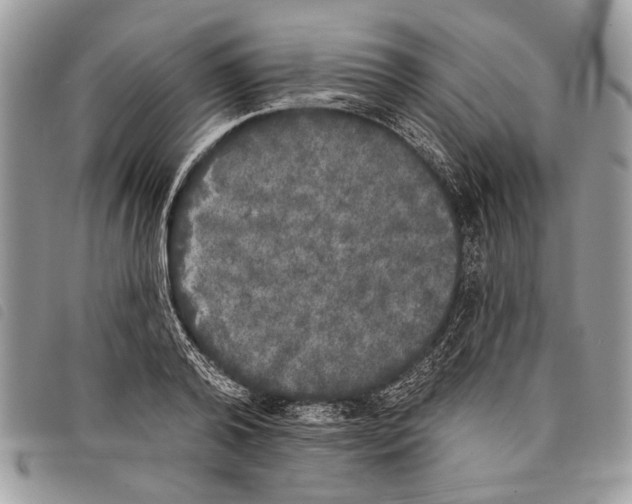 X0000097810792200804110949