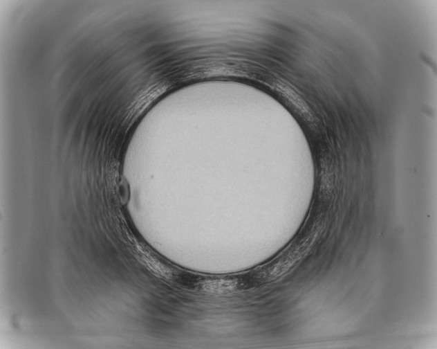 X0000097810793200804110949