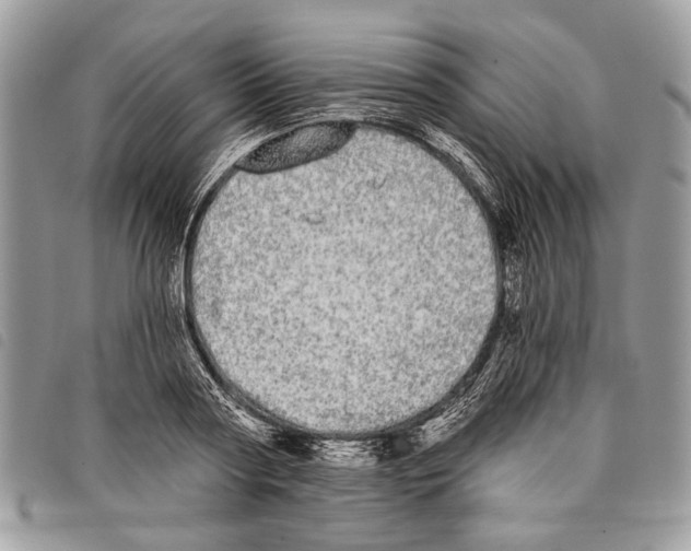 X0000097810794200804110949