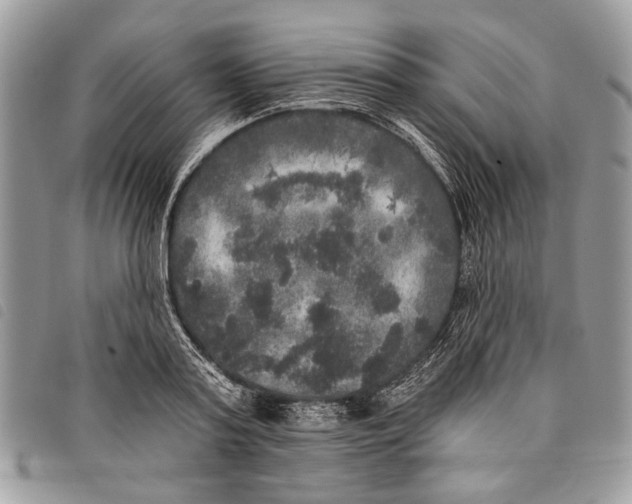 X0000097810795200804110949