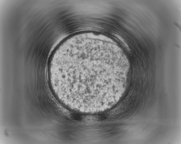 X0000097810796200804110949