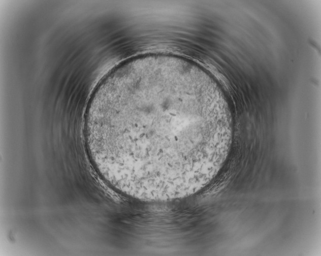 X0000097810799200804110949