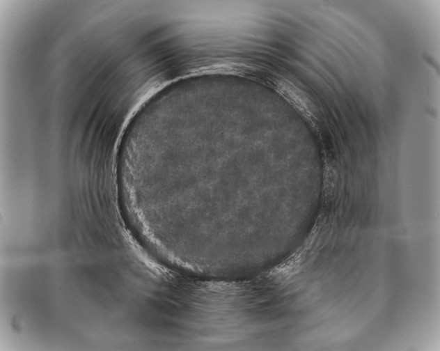 X0000097810800200804110949