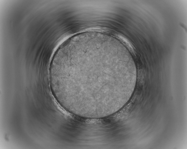 X0000097810808200804110949