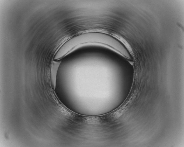 X0000097810809200804110949